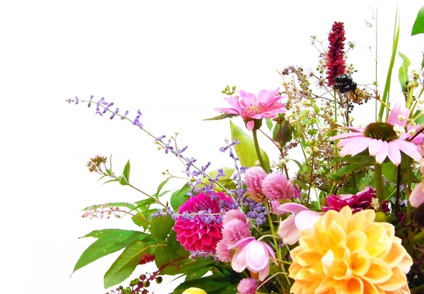 結婚祝いにおすすめの花の種類と贈る際の注意点を紹介